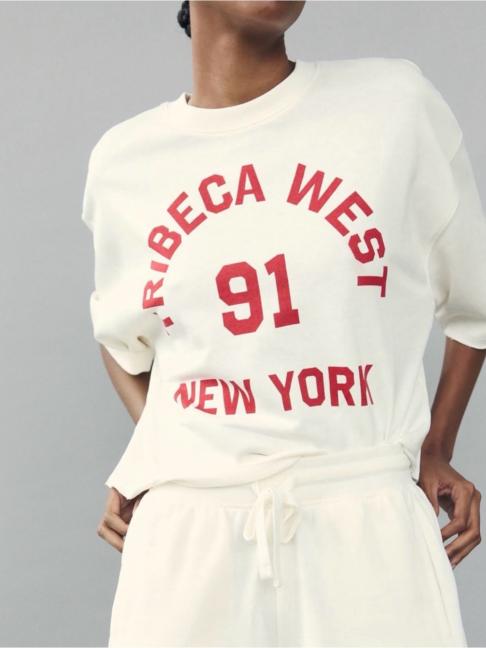 Zara cropped boxy tee